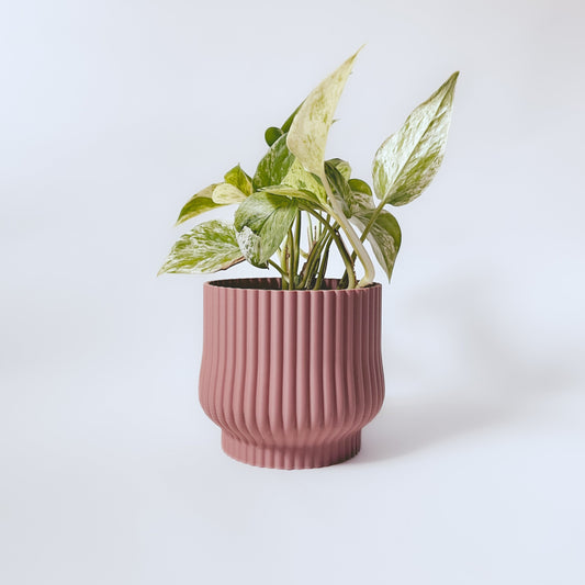 Cache-Pot - L'Adorable - Terracotta - 4″