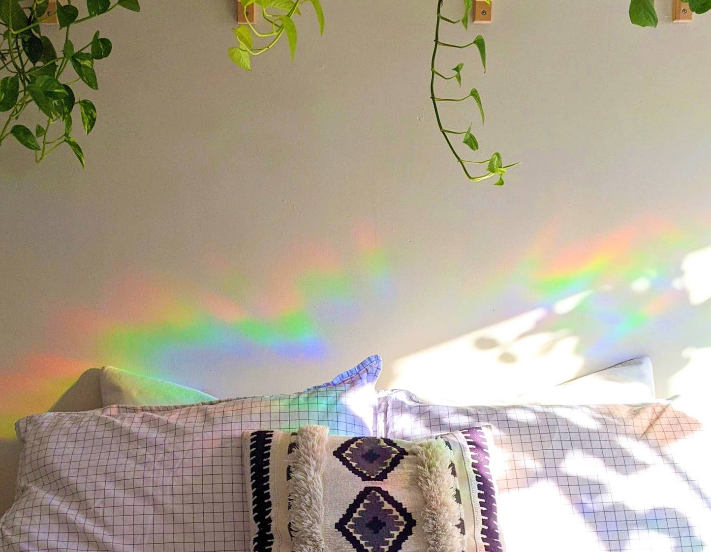 Attrape-soleil - Étoile De Mer