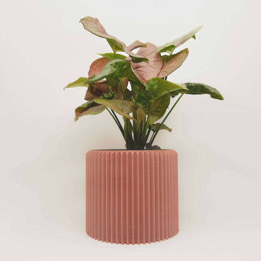 Cache-Pot - Le Coquet - Terracotta - 4″