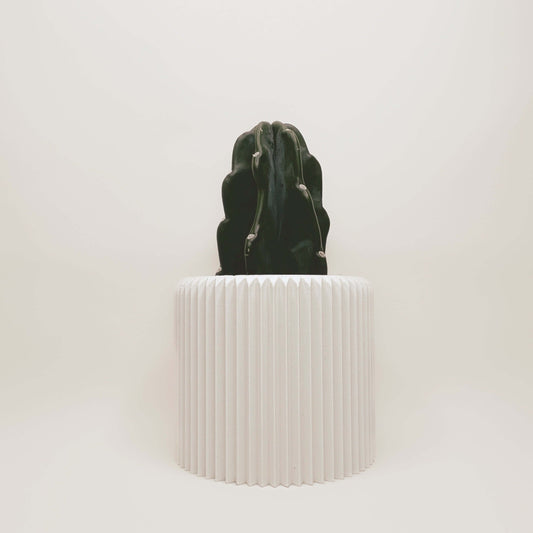 Cache-Pot - Le Coquet - Blanc - 4″