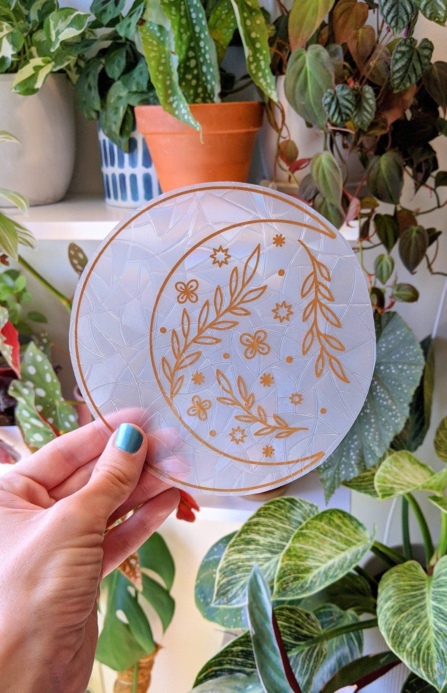 Attrape-soleil - Floral Lunaire