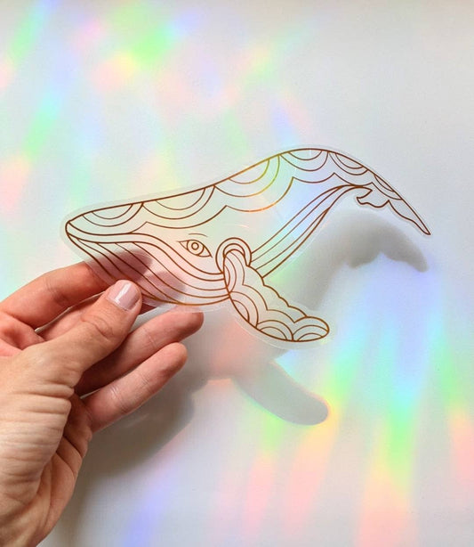 Attrape-soleil - Baleine