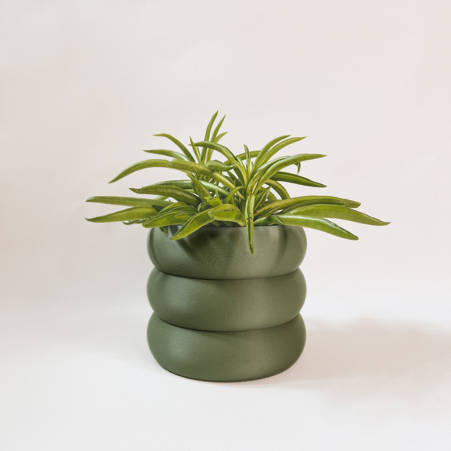 Cache-Pot - Le Bubbly - Eucalyptus - 4″