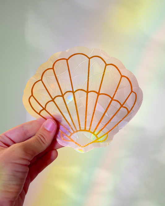 Attrape-soleil - Coquillage