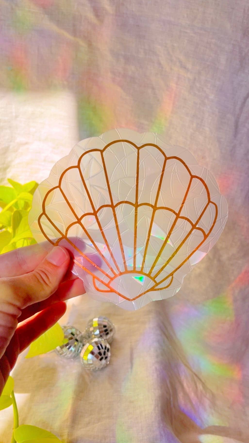 Attrape-soleil - Coquillage
