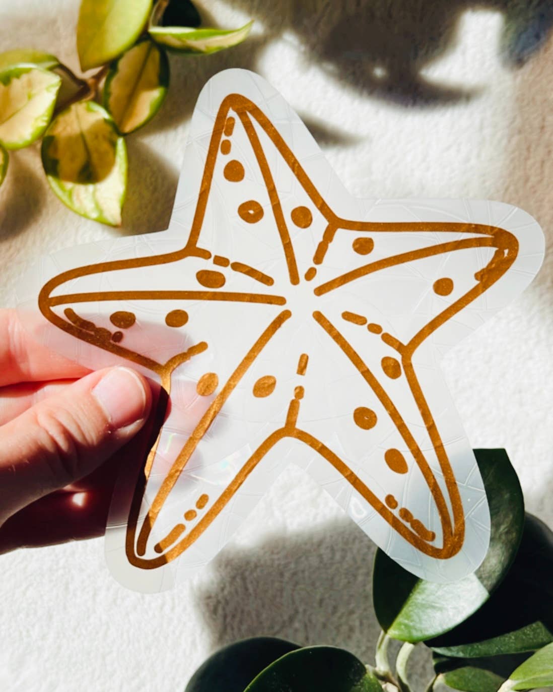 Attrape-soleil - Étoile De Mer