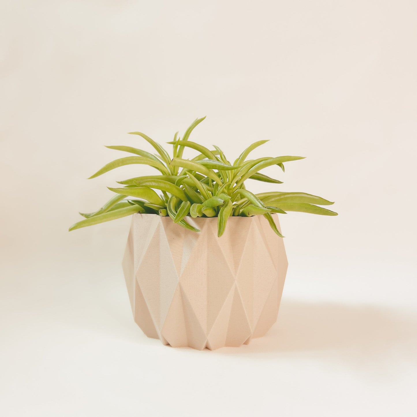 Cache-Pot - Le Stylé - Beige - 4″