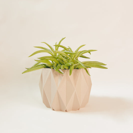 Cache-Pot - Le Stylé - Beige - 4″