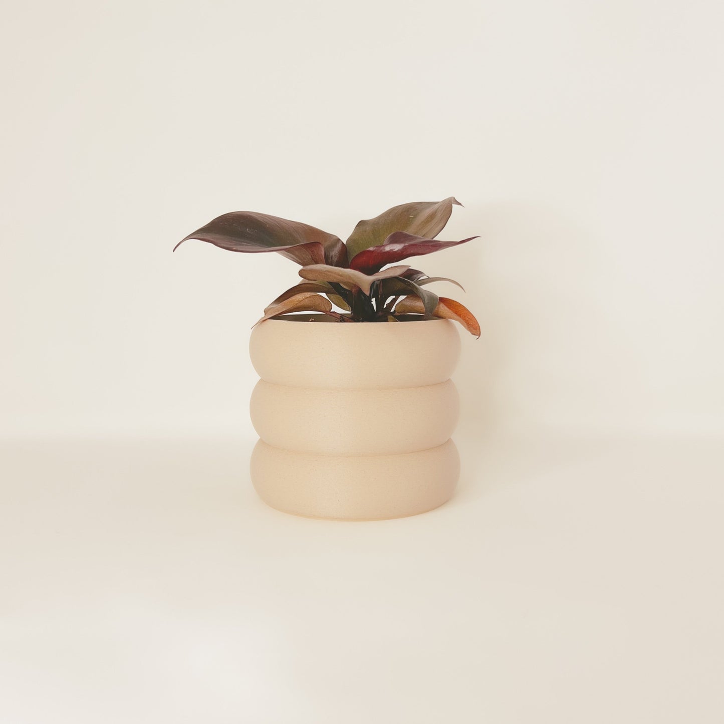 Cache-Pot - Le Bubbly - Beige - 5″