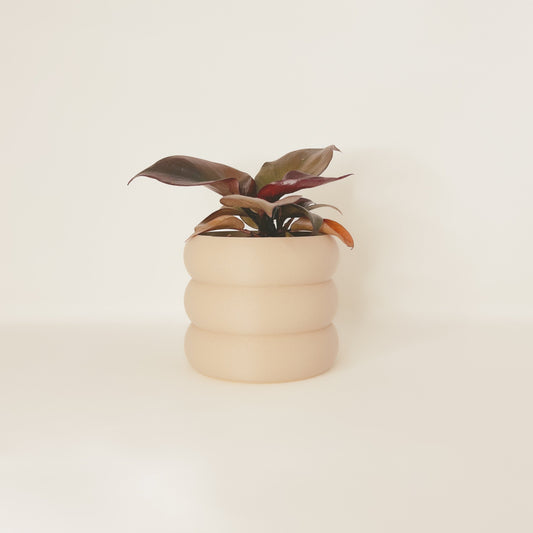 Cache-Pot - Le Bubbly - Beige - 5″