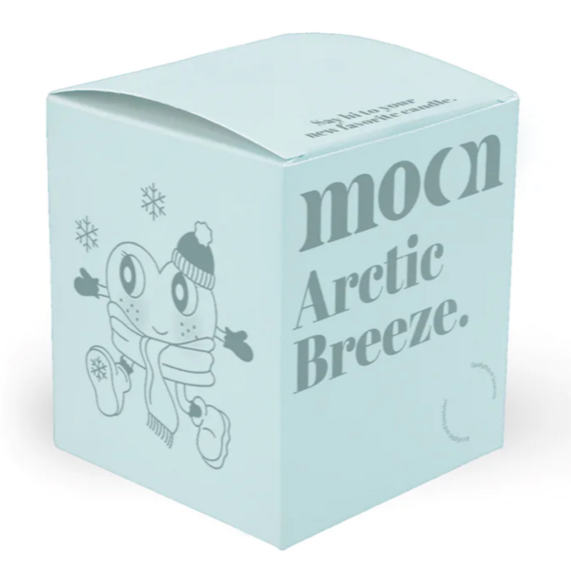 Bougie De Soya - Arctic Breeze