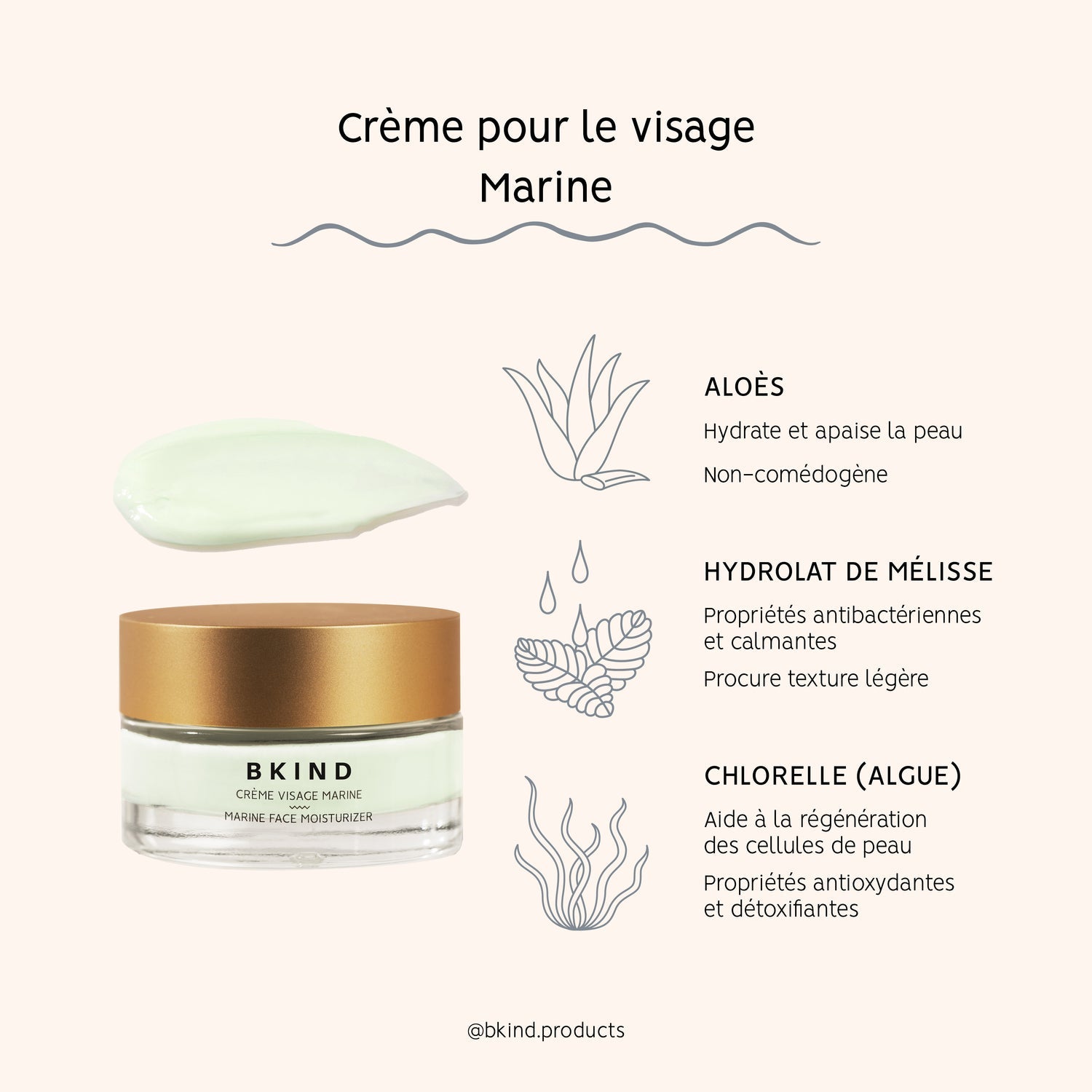 Crème Hydratante Visage - Algue Marine