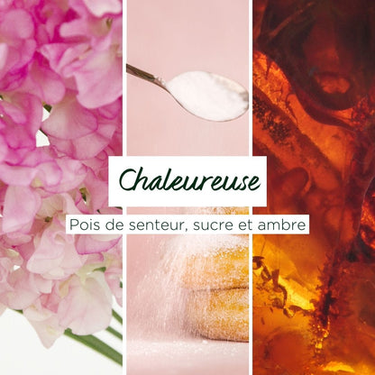 Exfoliant Corporel - Chaleureuse