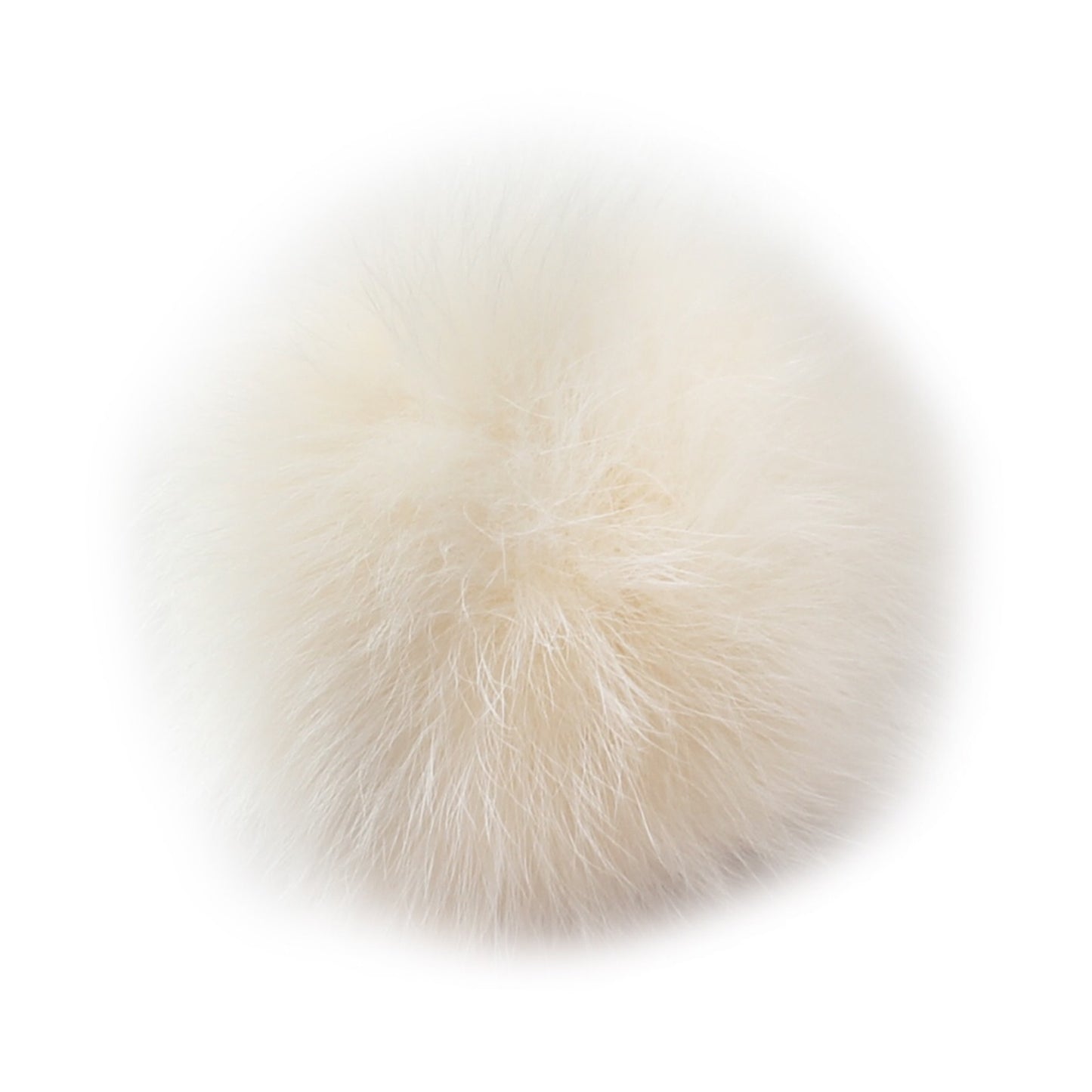 Pompon Blanc