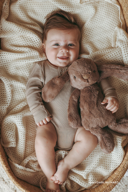 Toutou - Lapin Brun