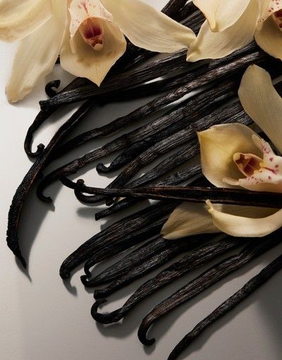 Bougie De Soya - Carte Postale