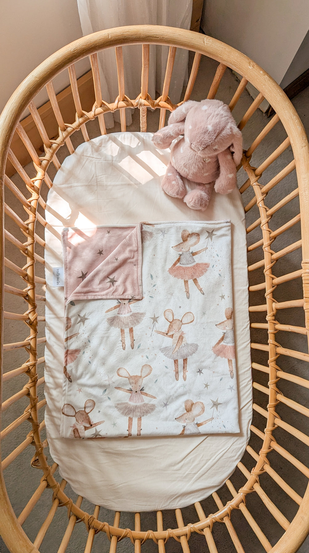 Couverture De Minky - Anna La Ballerine
