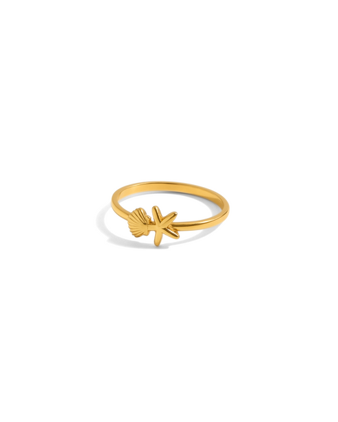 Bague - Coastal